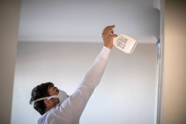 Attic Mold Removal in Zuni Pueblo, NM